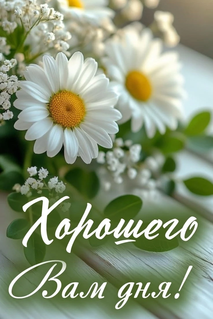 Позитивные открытки каждое утро ТУТ 👉@otkritkipozdrav