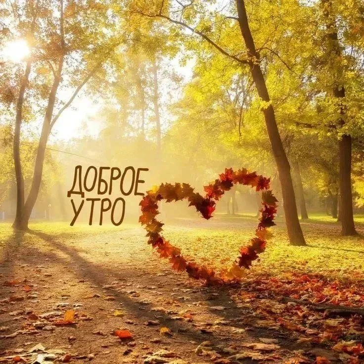 Доброе утро! Крепкий тыл!❤
