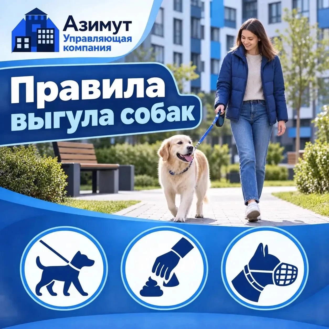 🐕 Выгул собак: правила для всех