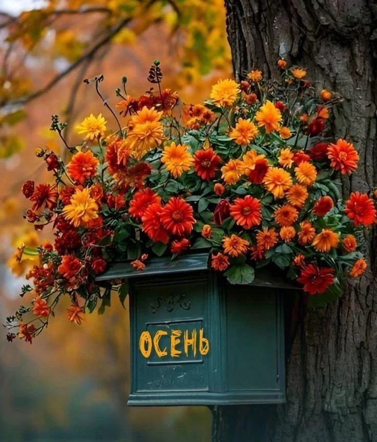🍂 Золотая осень 🍁