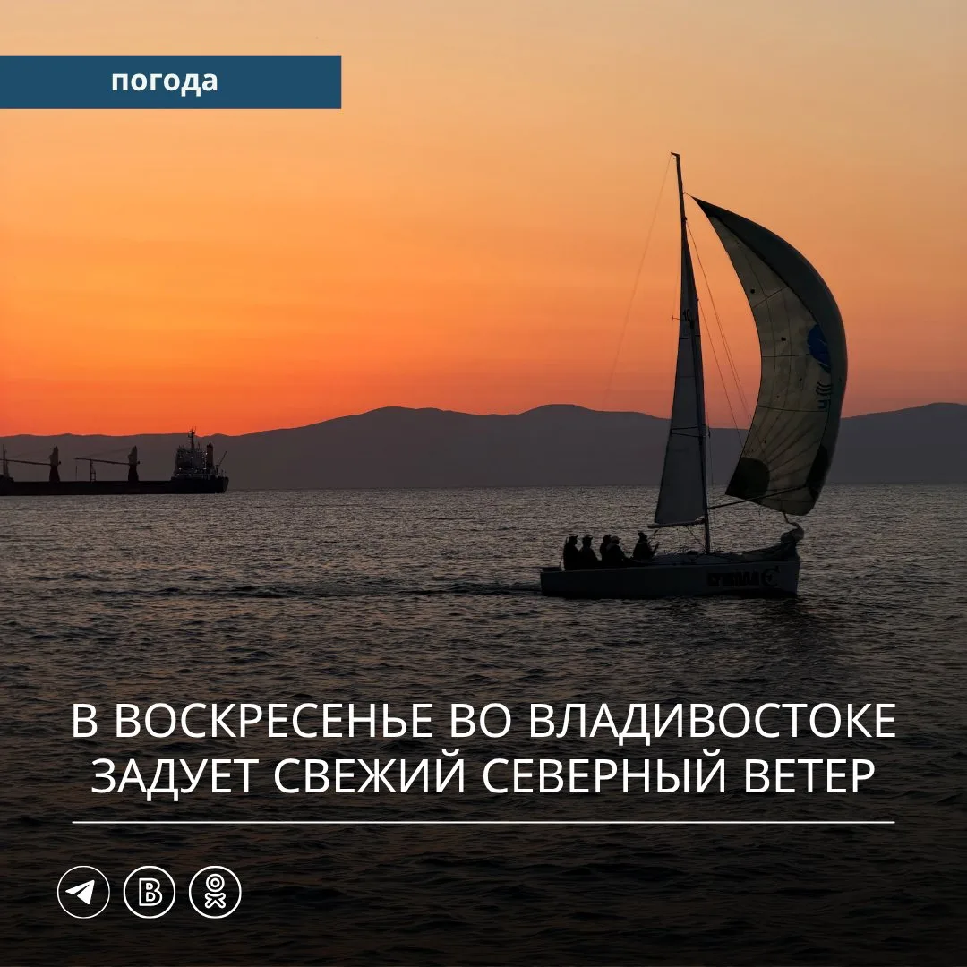 🌤️ В прошедшие сутки на большей территории Приморского края осадков не наблюдалось. Ли...