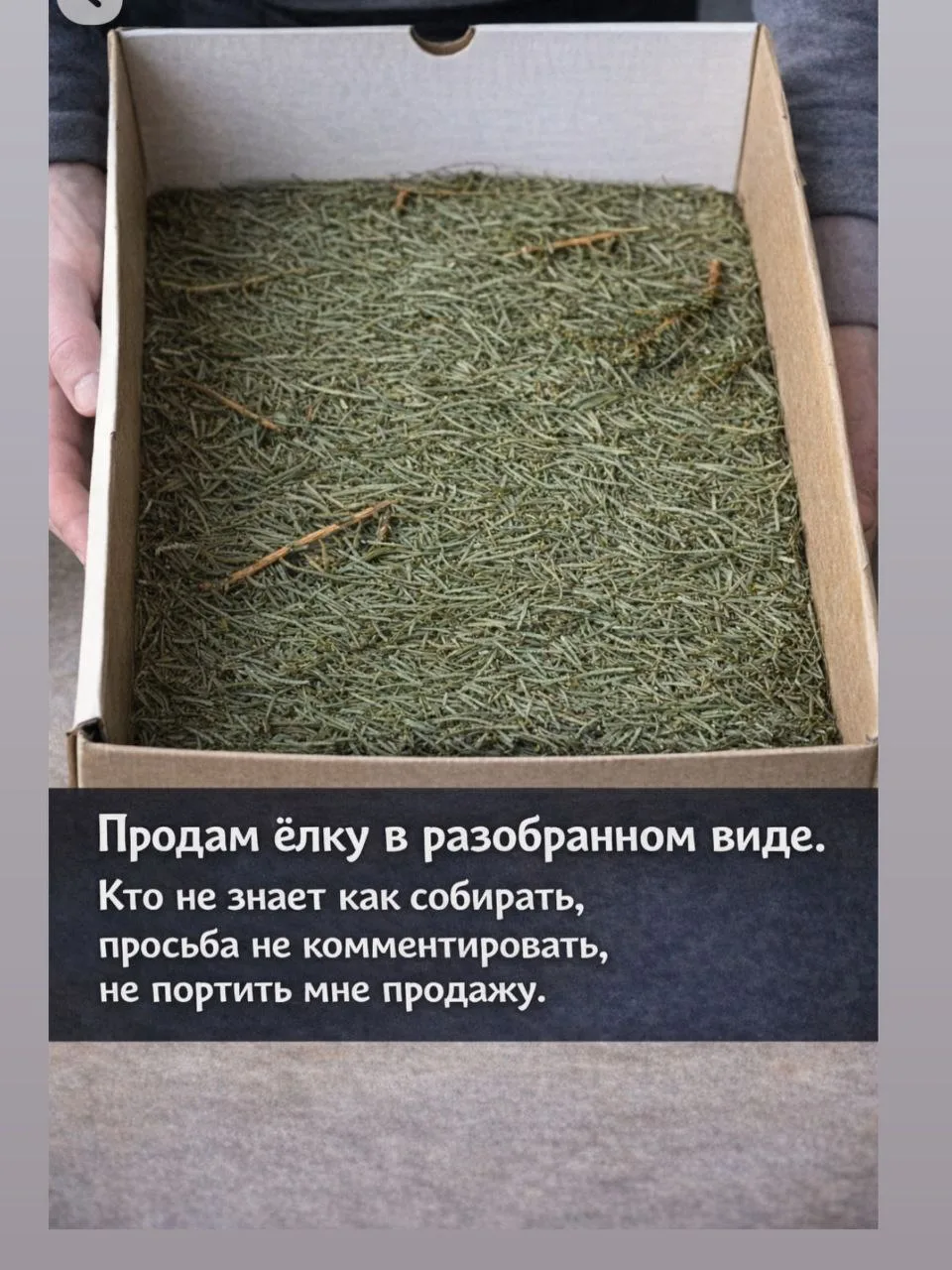 Спасибо за реакции — очень ценю!