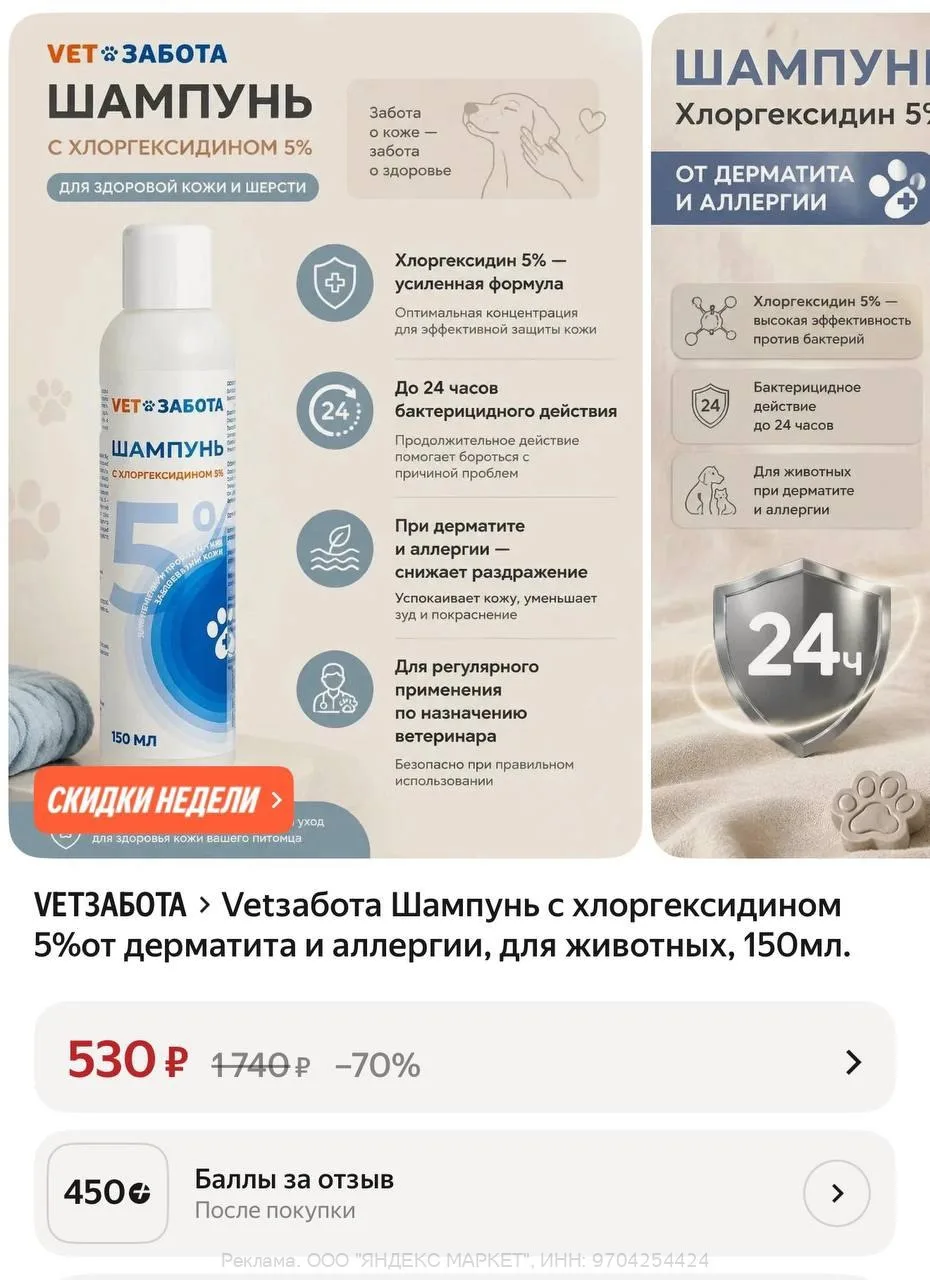 450б за отзыв
