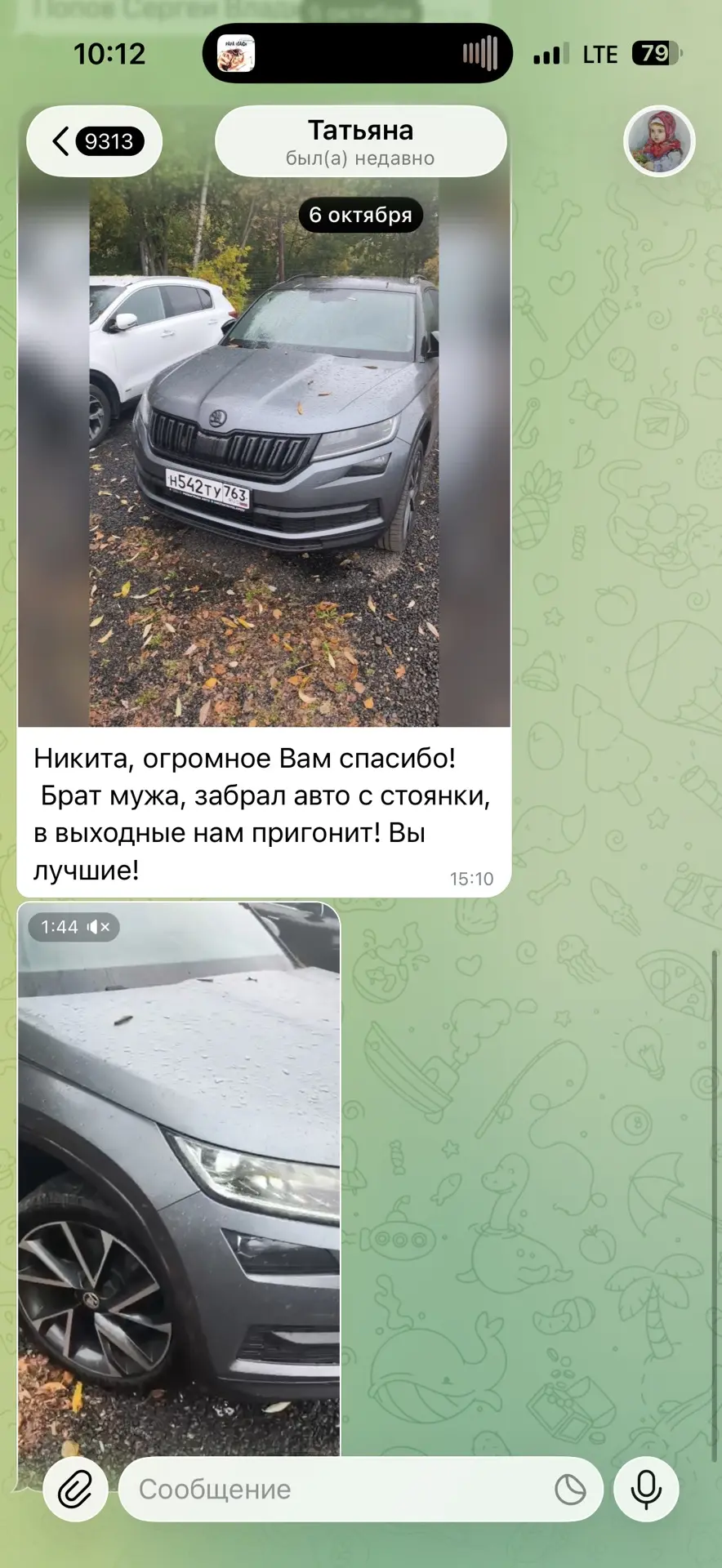 Кодиак получили кстати 🤝