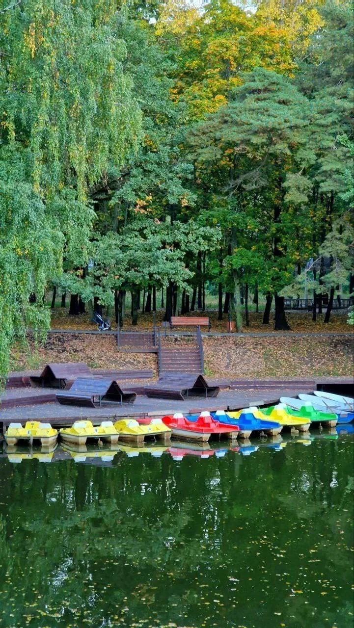 🍀 Ивановские пруды в Красногорске — отличное место для прогулки с детьми