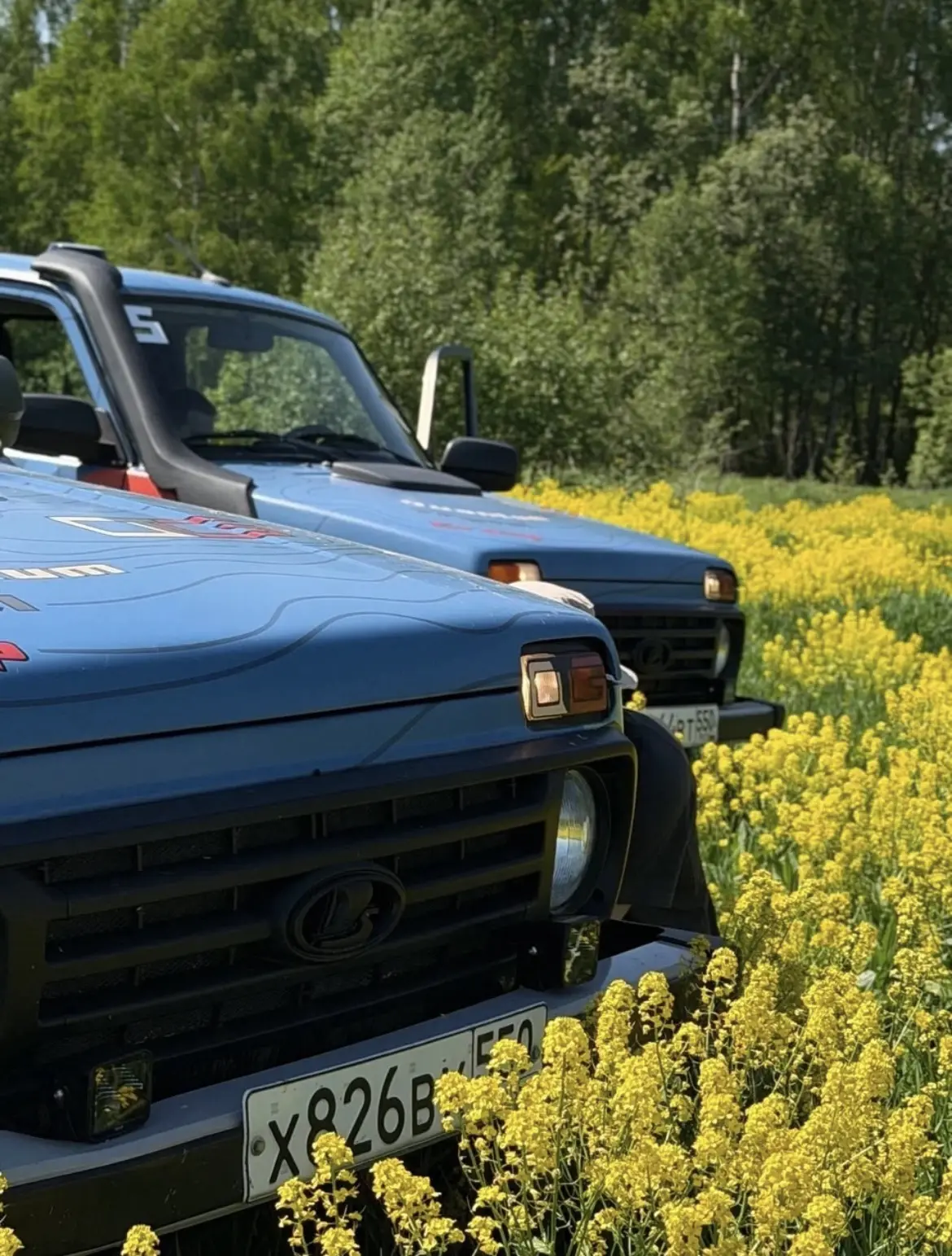 🚙 Добавьте приключений к отдыху в «Винни Вилле»!