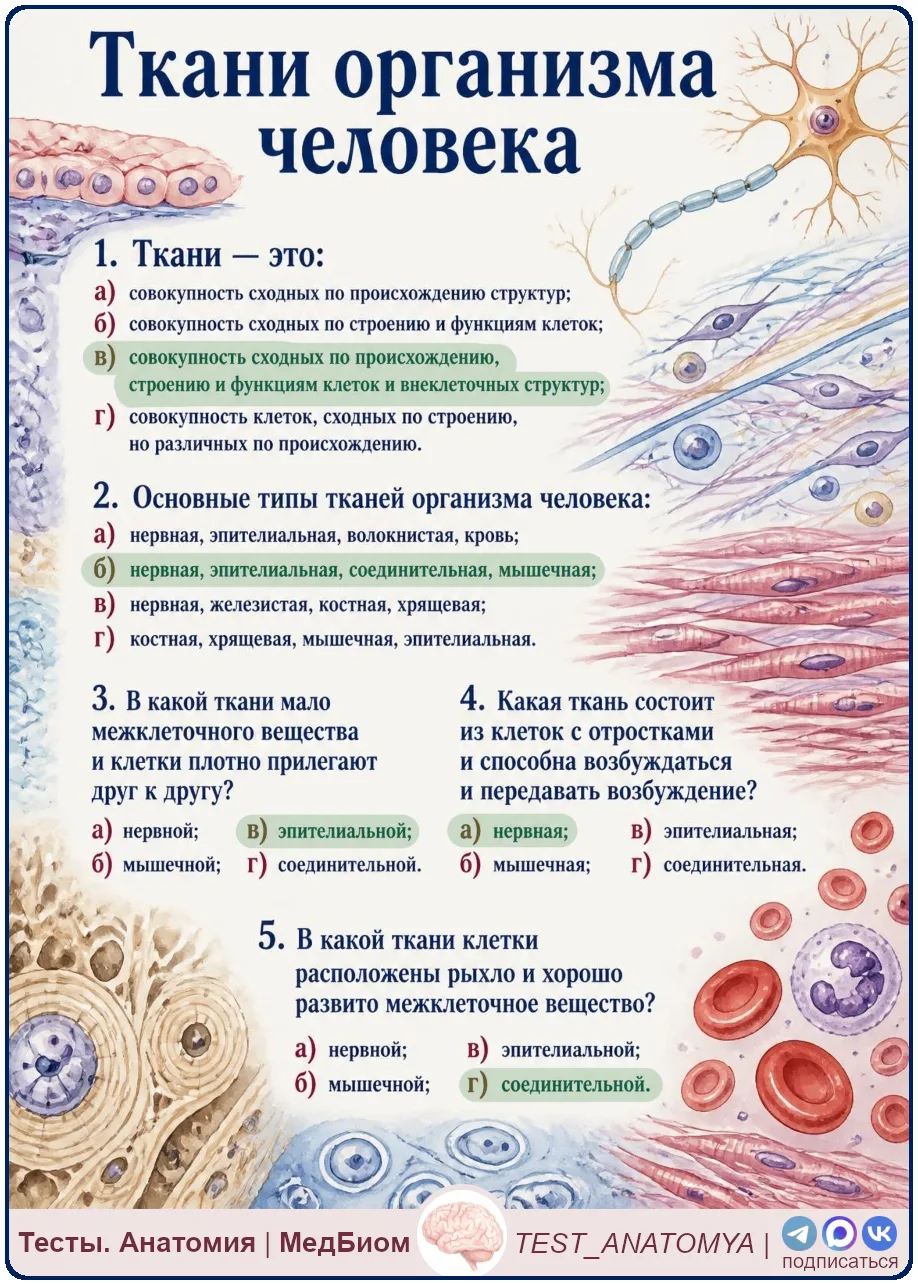 ⬆️ Ответы на вопросы