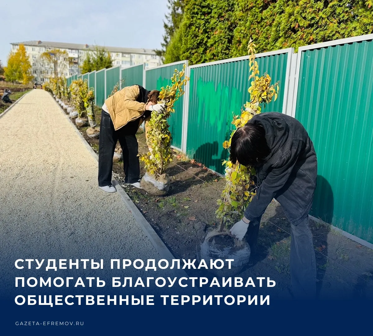✏️ Студенты третьего курса технической специальности Ефремовского филиала РязГМУ вновь ...