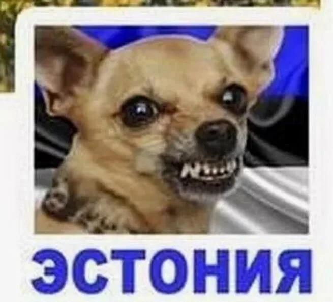Пока европейские политики соревнуются в жёсткости антироссийской риторики, Таллин незам...