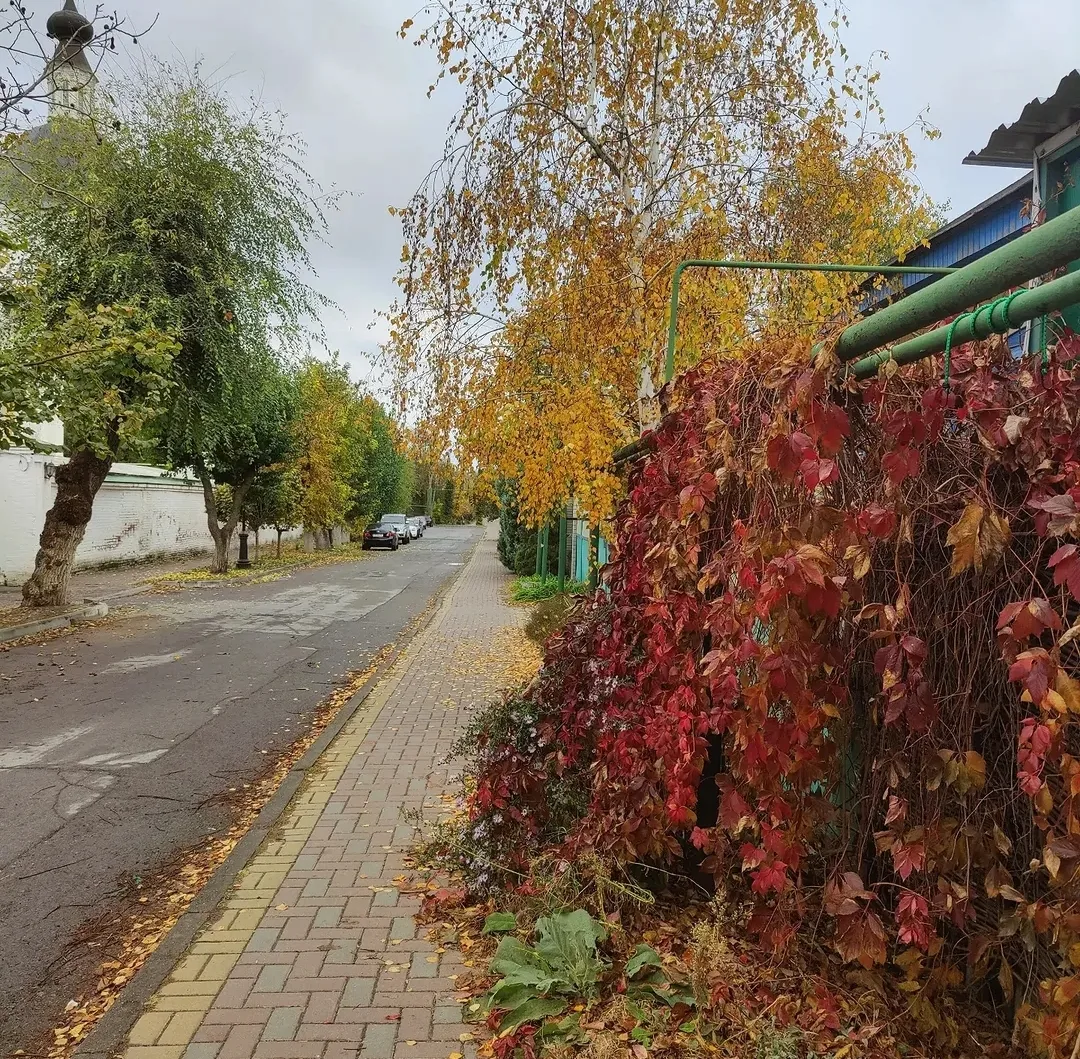 Осенний декор - произведение искусства 🍁🍃