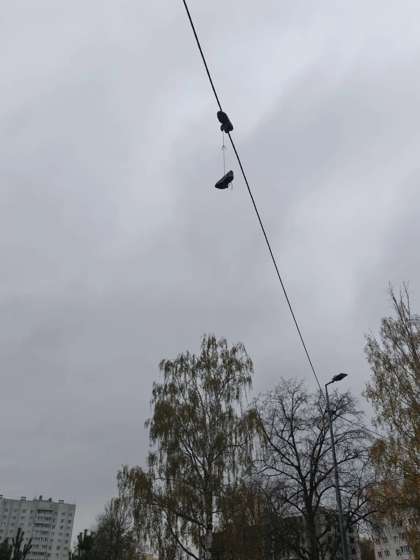 Вайб Осинки