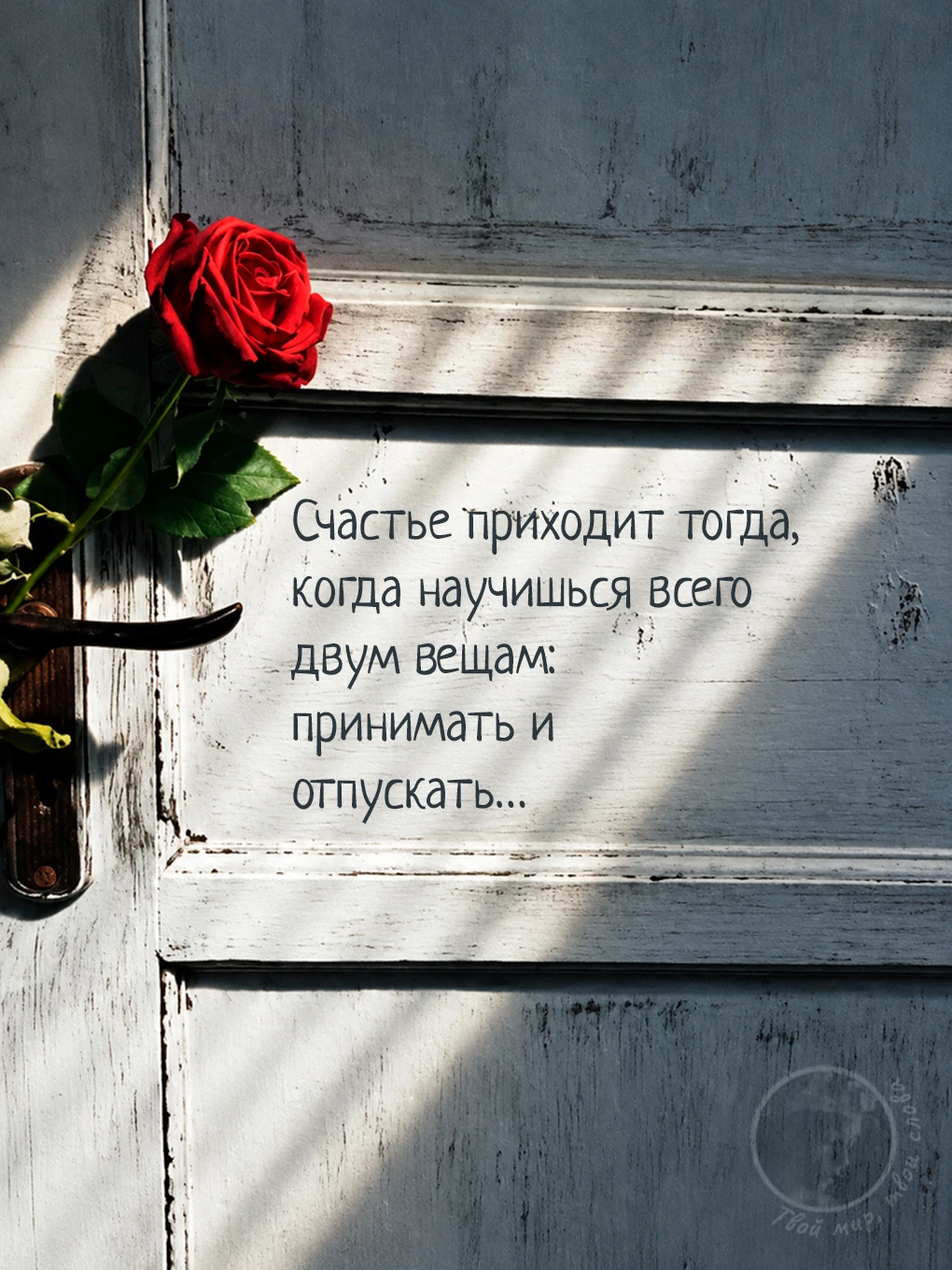 Твой мир, твои слова