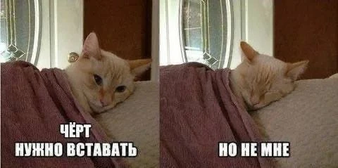 С воскресным утром! 🌞