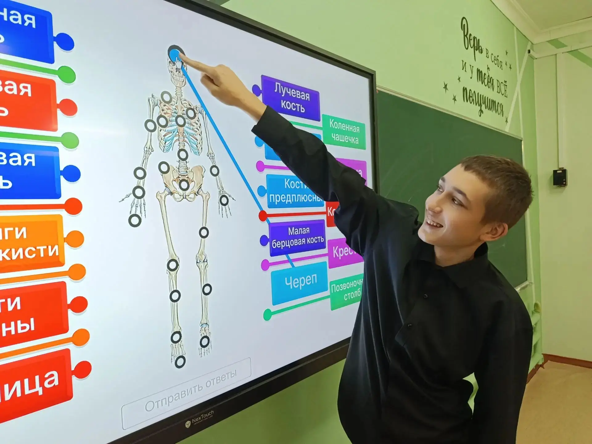 Сегодня в 9 классе прошла потрясающая викторина «Увлекательная анатомия»! 🧠✨