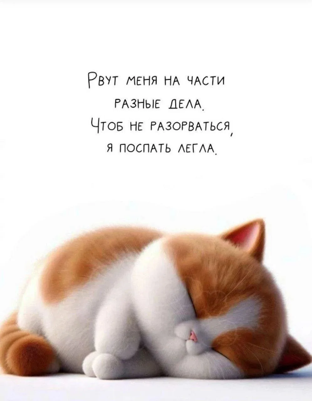 Выходные, ура!!! Главное - не разорваться!