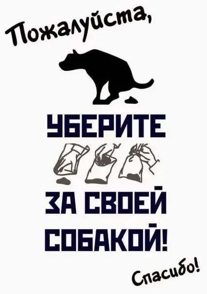 Добрый день. Владельцы собак, ну неужели так сложно убрать за своим питомцем??? Куда ни...