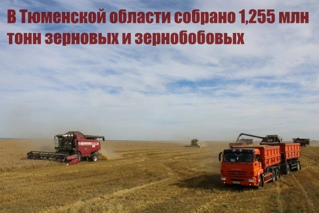 В Тюменской области собрано 1,255 млн тонн зерновых и зернобобовых