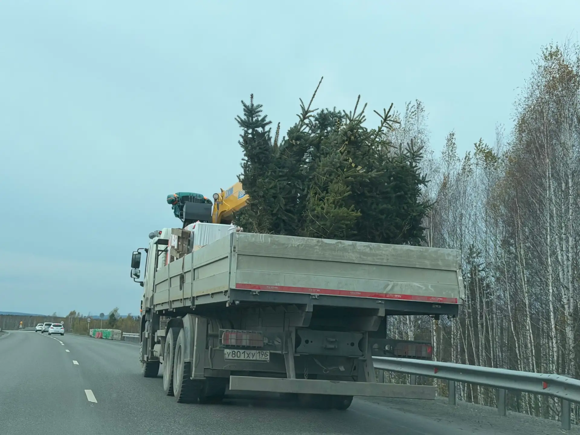 Скоро Новый год