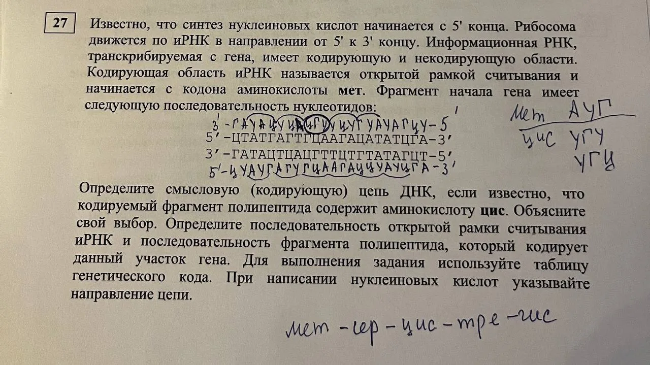 А вот вам лайфхак, как сэкономить время и избежать ошибок в 27 задаче на биосинтез белк...