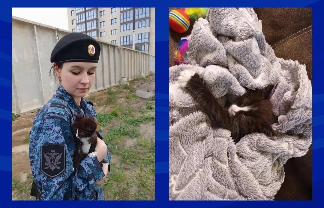 🙏В Алтайском крае судебный пристав спасла котёнка и помогла ему найти семью