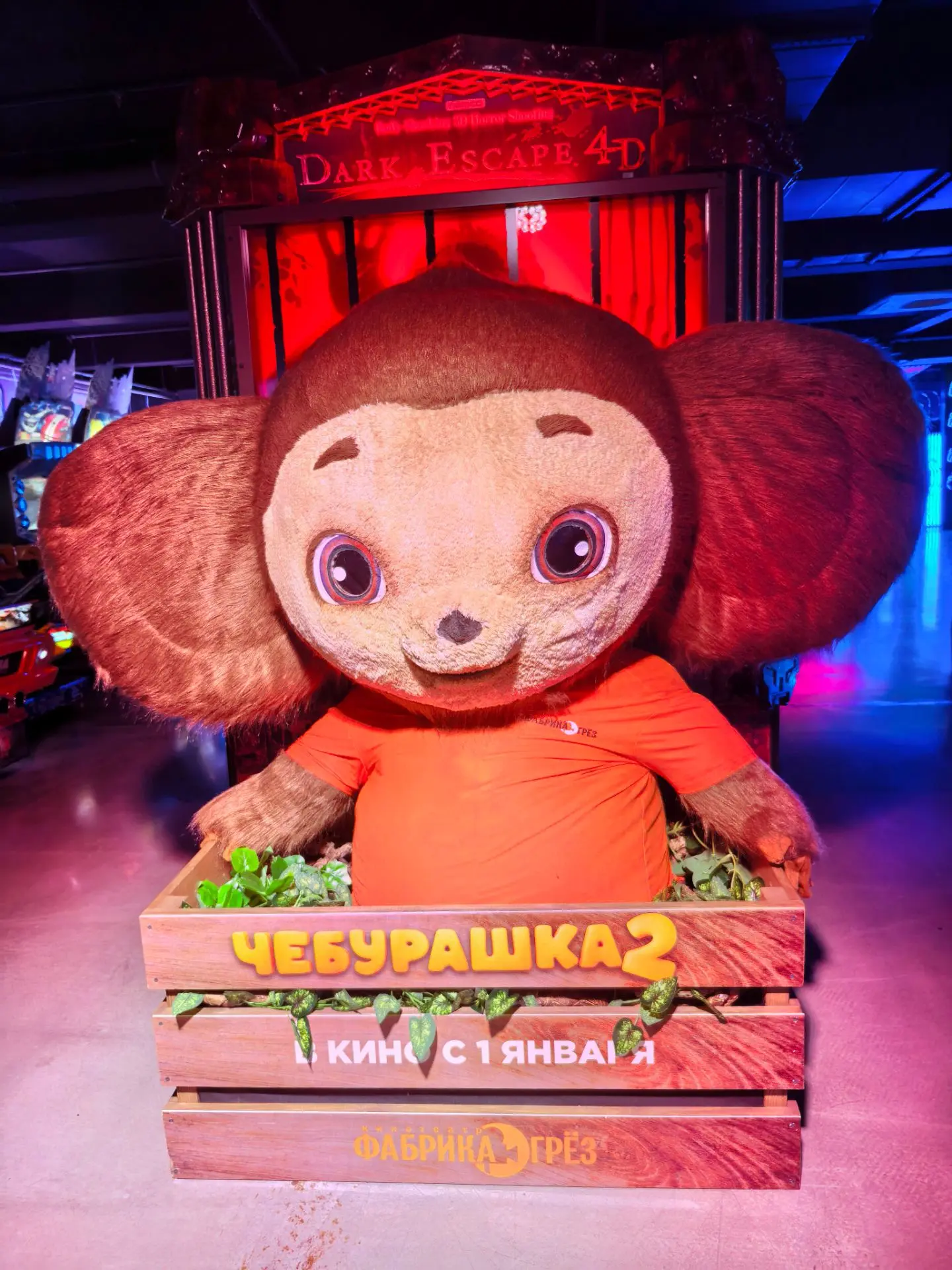 Чебурашку видели👌