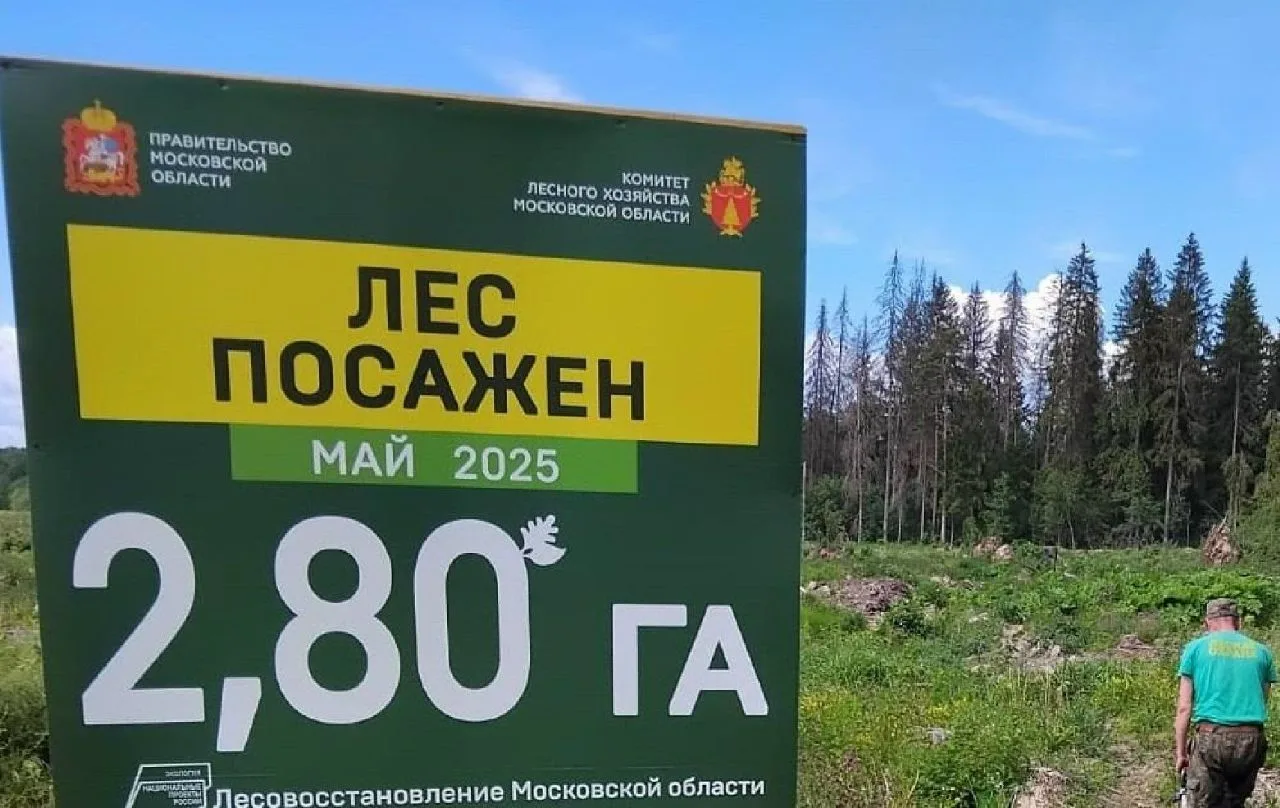 🟢Вклад в будущее