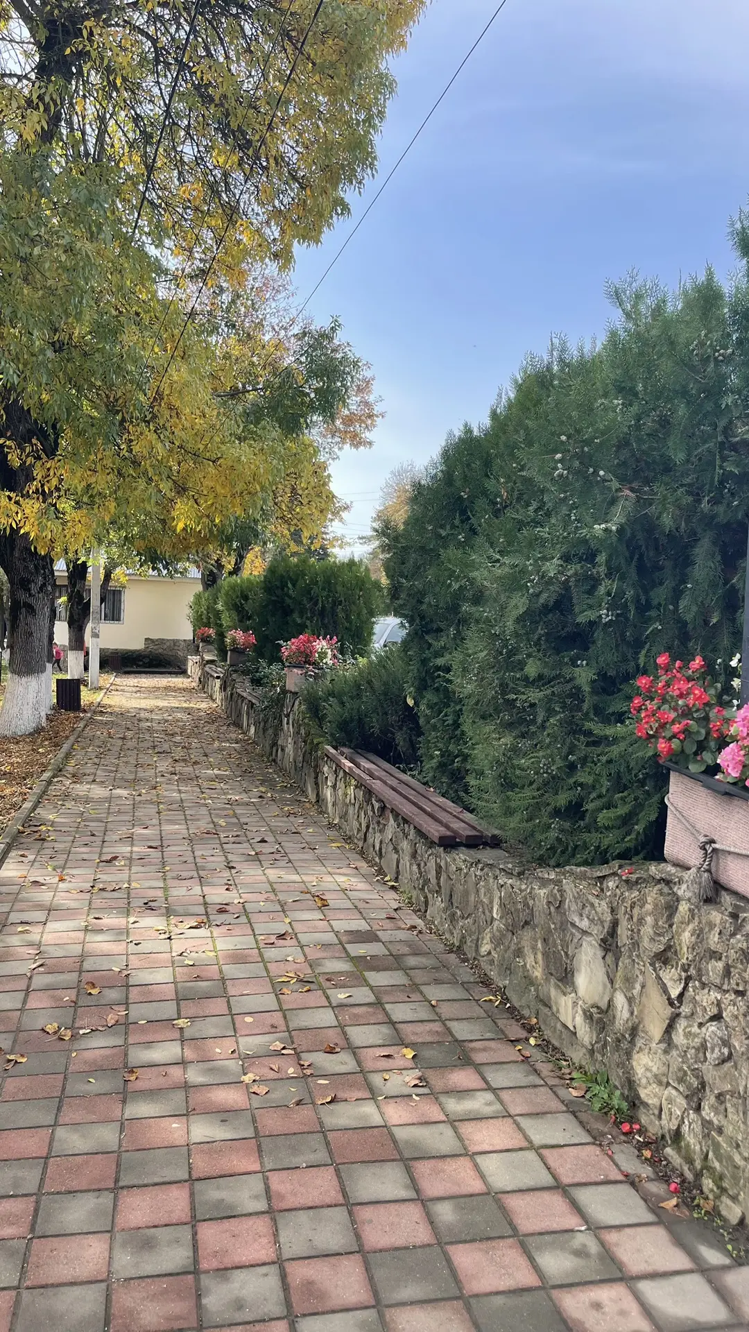 ✨ Мы живём так, будто здоровье — это что-то по умолчанию.
