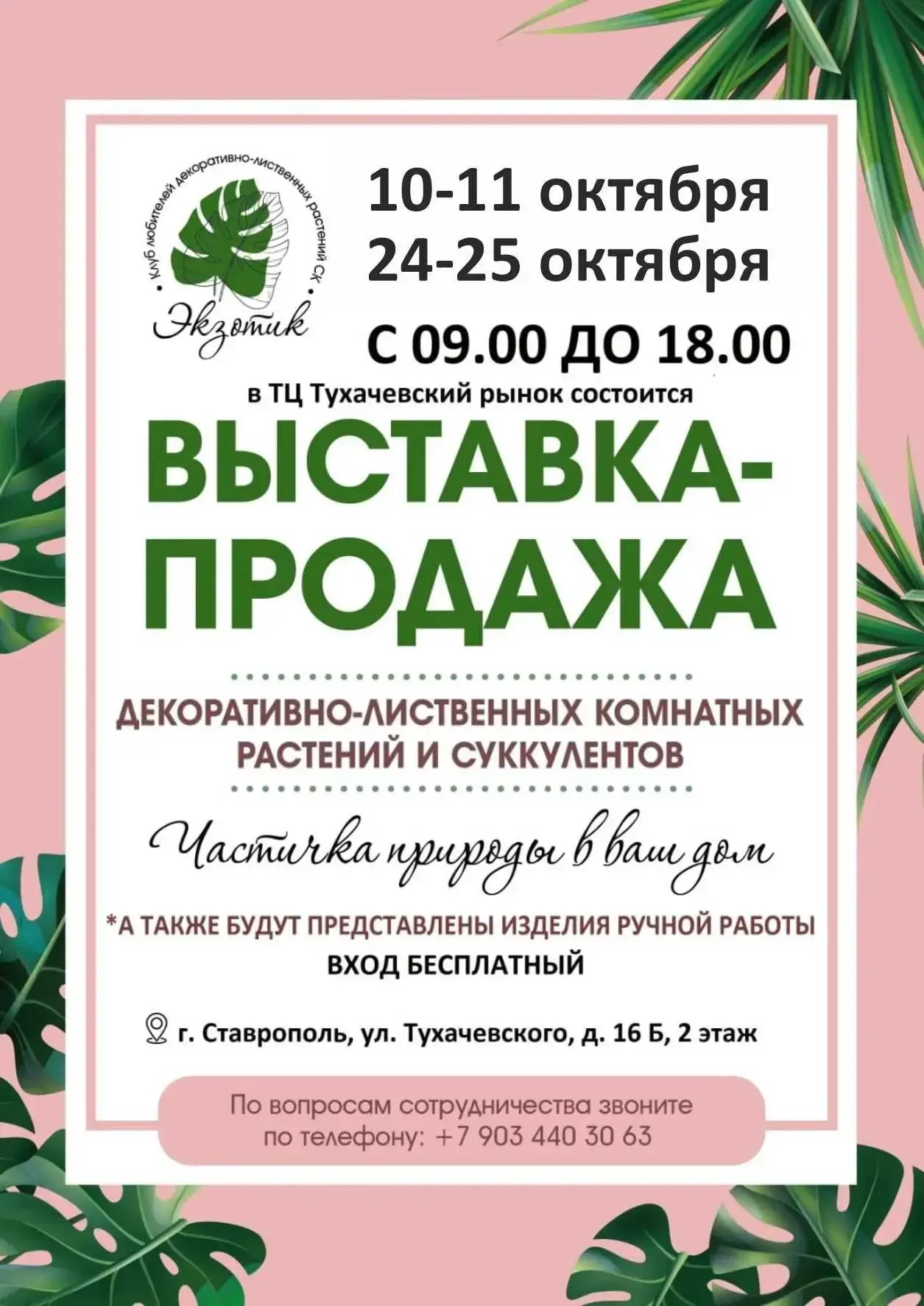 🌱☘ Цветочная выставка, своп растений и лотерея