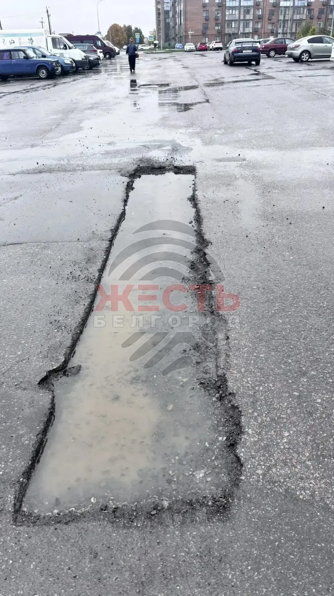 В Северном неделю не могут залатать вырезанные ямы