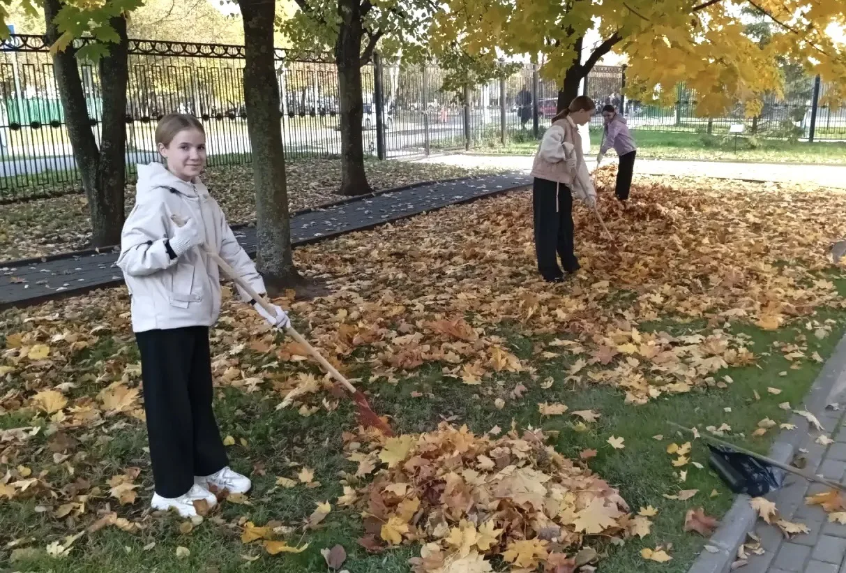 НАВОДИМ КРАСОТУ
