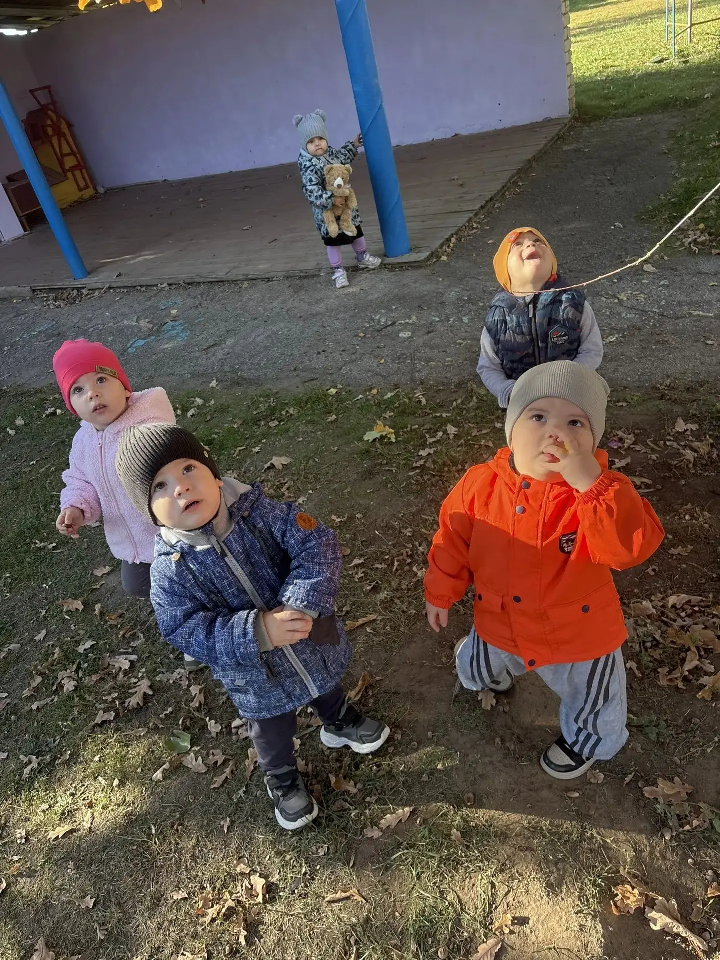 🍁 Маленькие исследователи в деле! 🌳