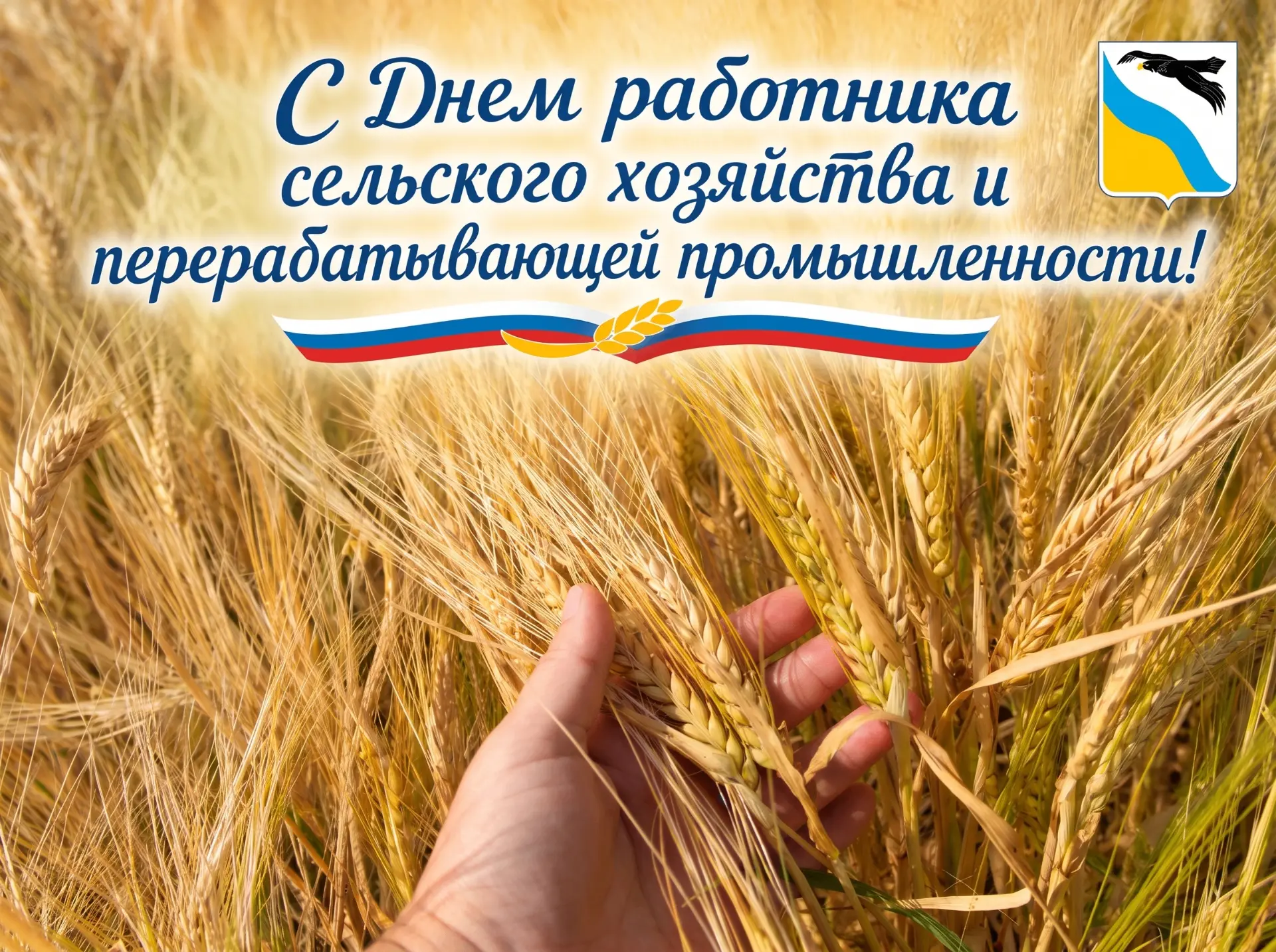Сегодня отмечается День работника сельского хозяйства и перерабатывающей промышленности...