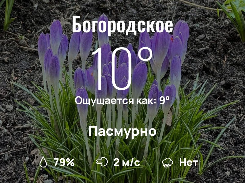 Что с погодой в Богородском?