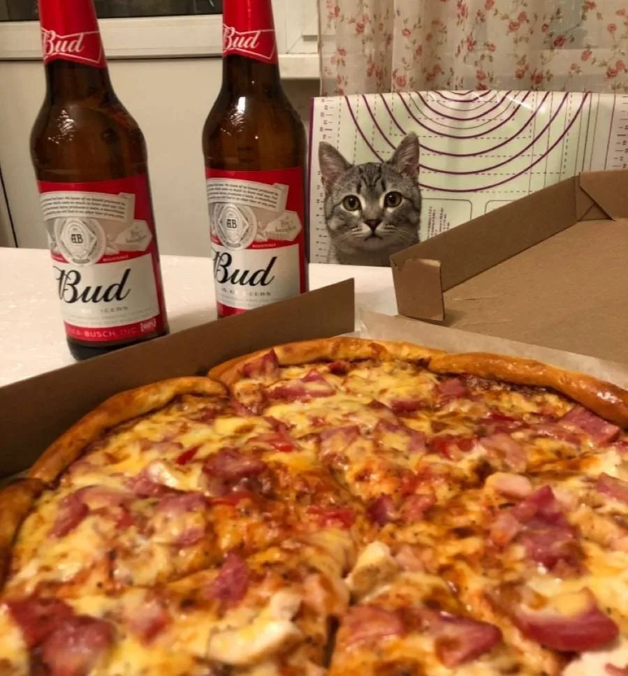 🍺Международный день пива и пиццы отмечается сегодня