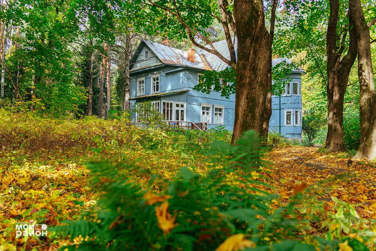 Осенние краски в городке писателей Переделкино 🍁