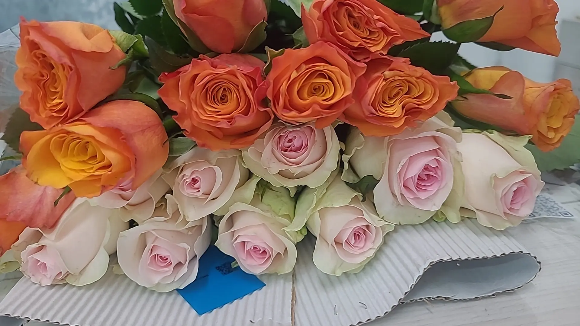 Кения 200р бутон не большой, но длинна 60см💐💐🔥🔥