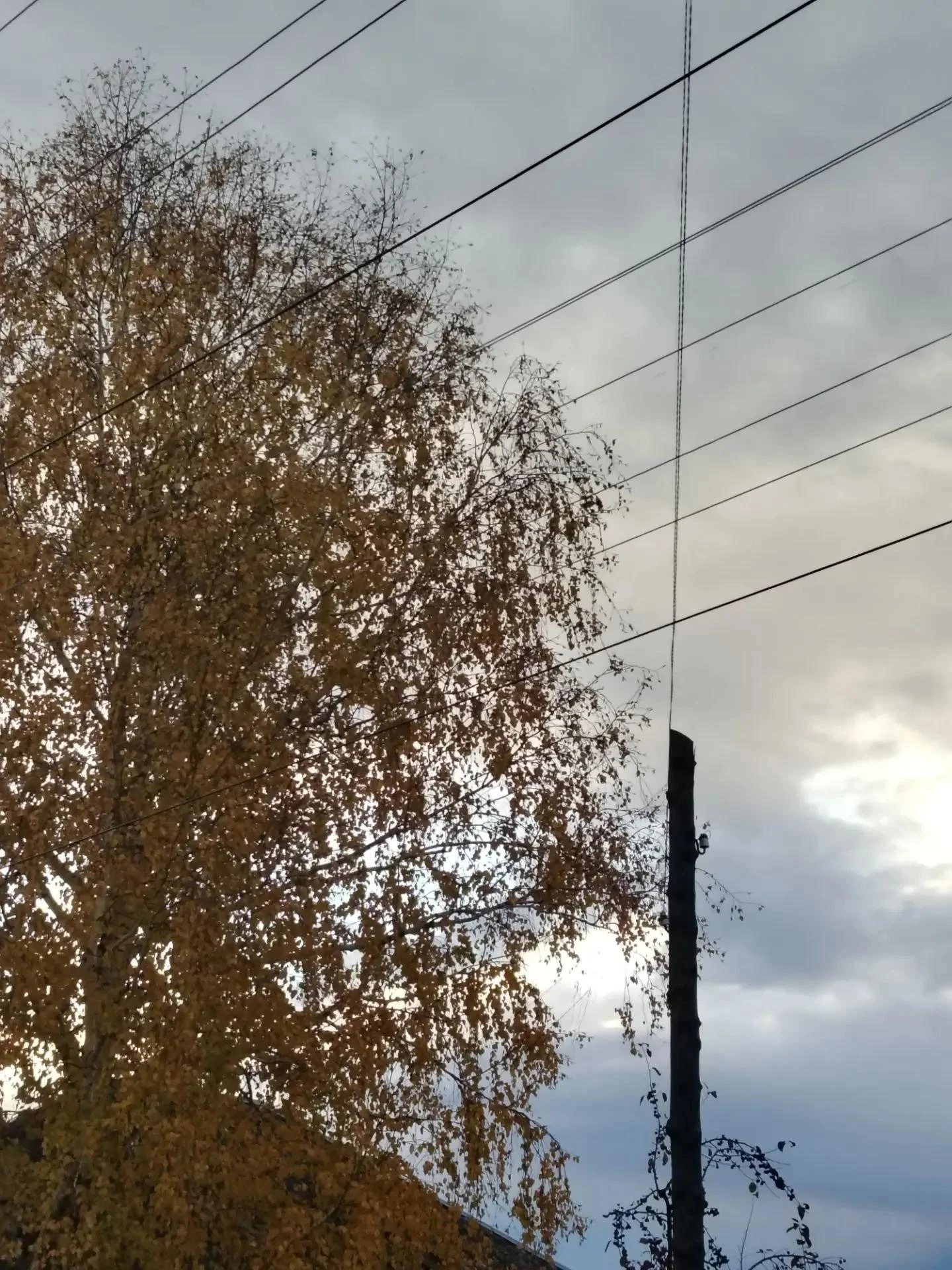 🌤 Прогноз погоды на субботу 10 октября. Идринско-Краснотуранский округ🌤