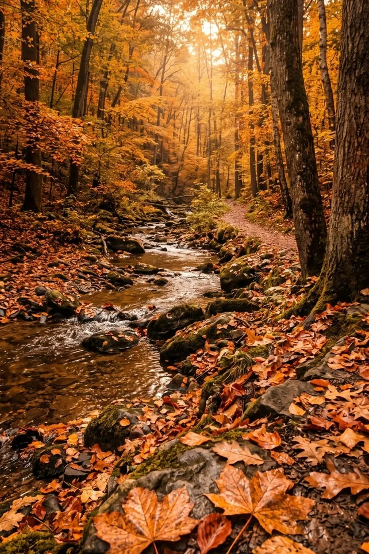 Прозрачен лес, осенний лес