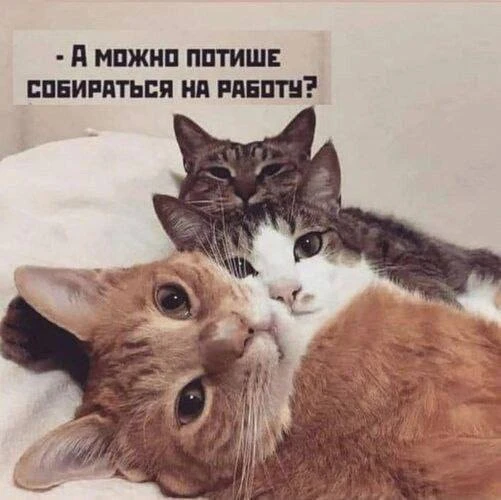 МЕМАСНАЯ