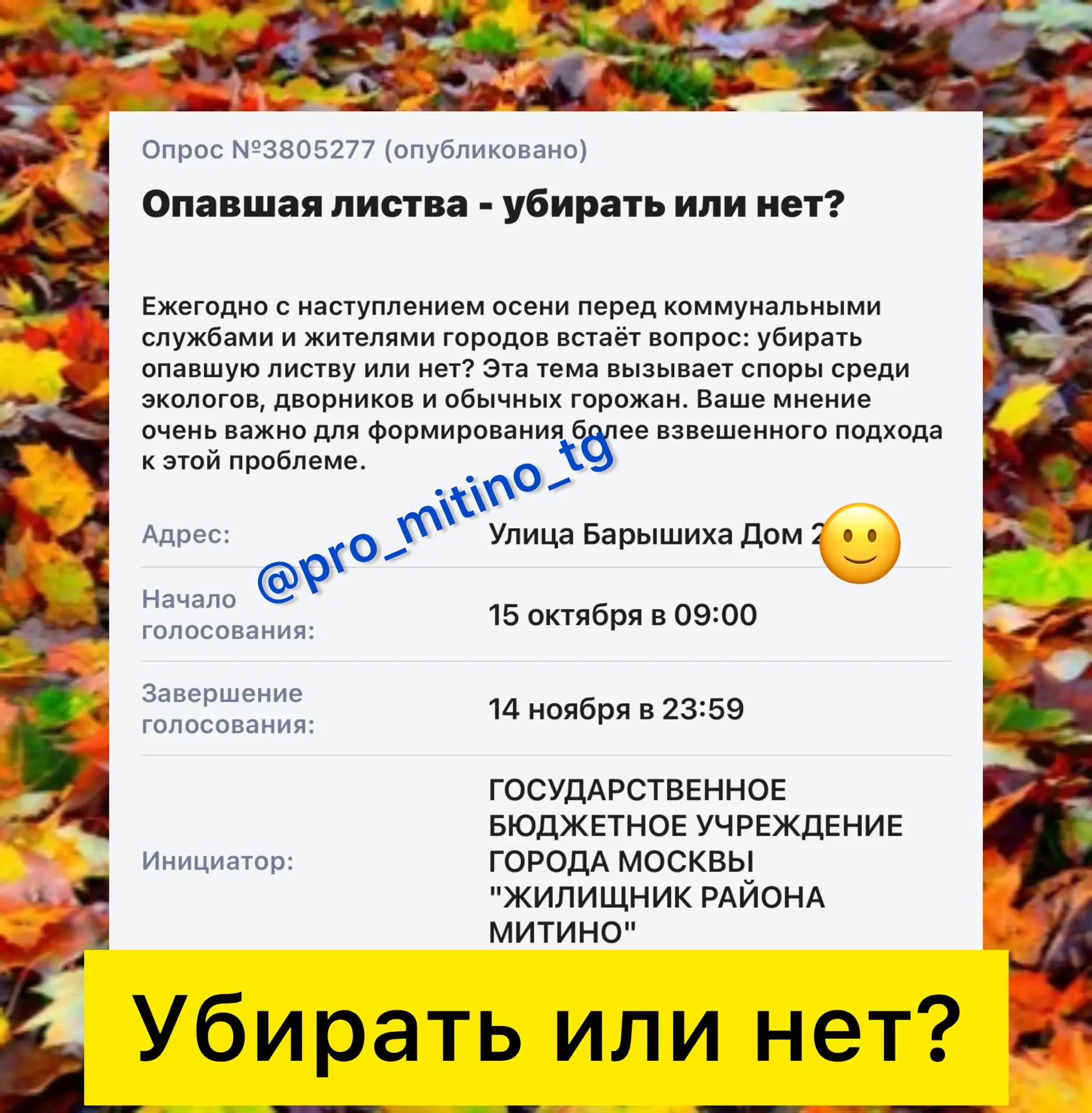 ❗️УБИРАТЬ ИЛИ НЕТ?