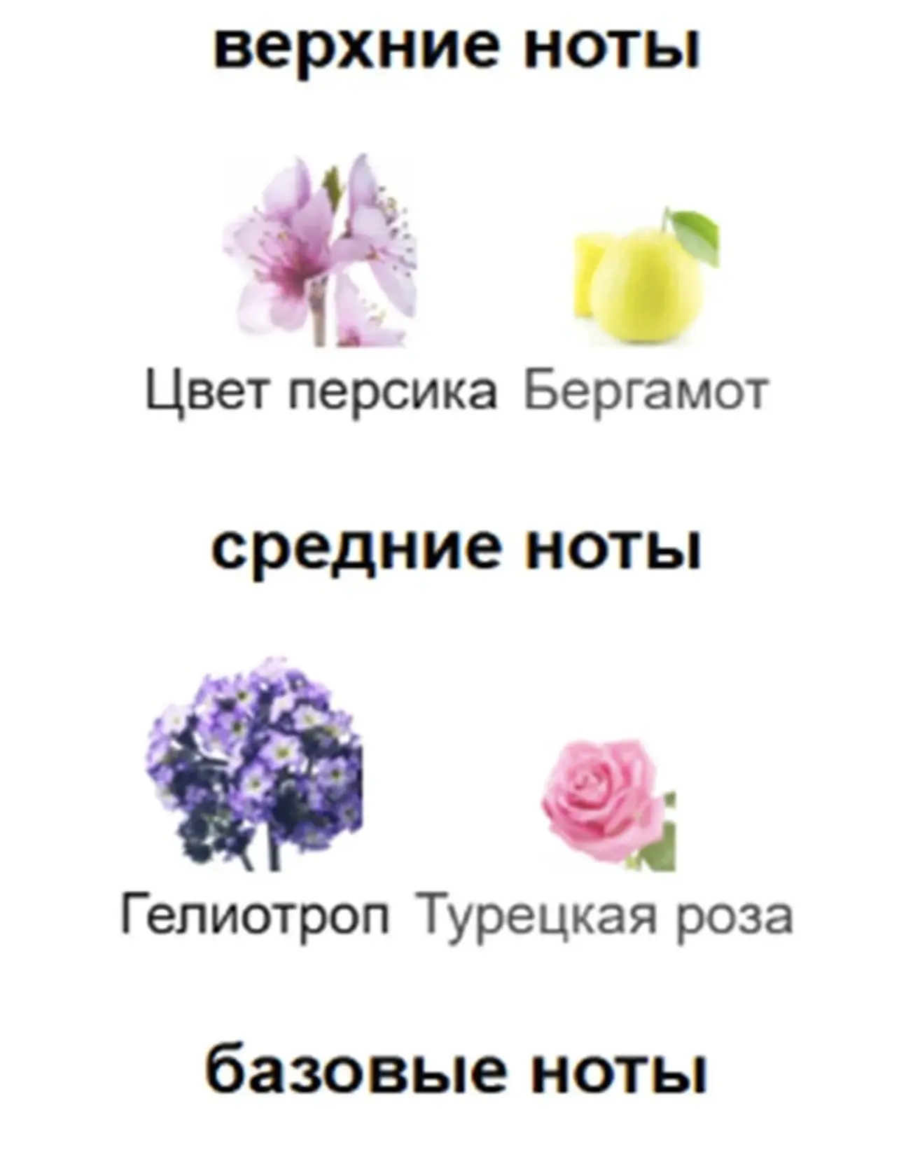 Звучание парфюма начинается с цитрусовой прохлады бергамота, смешанной с восхитительной...