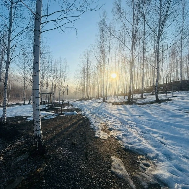 Присылайте Ваши фото в "Предложить пост"
