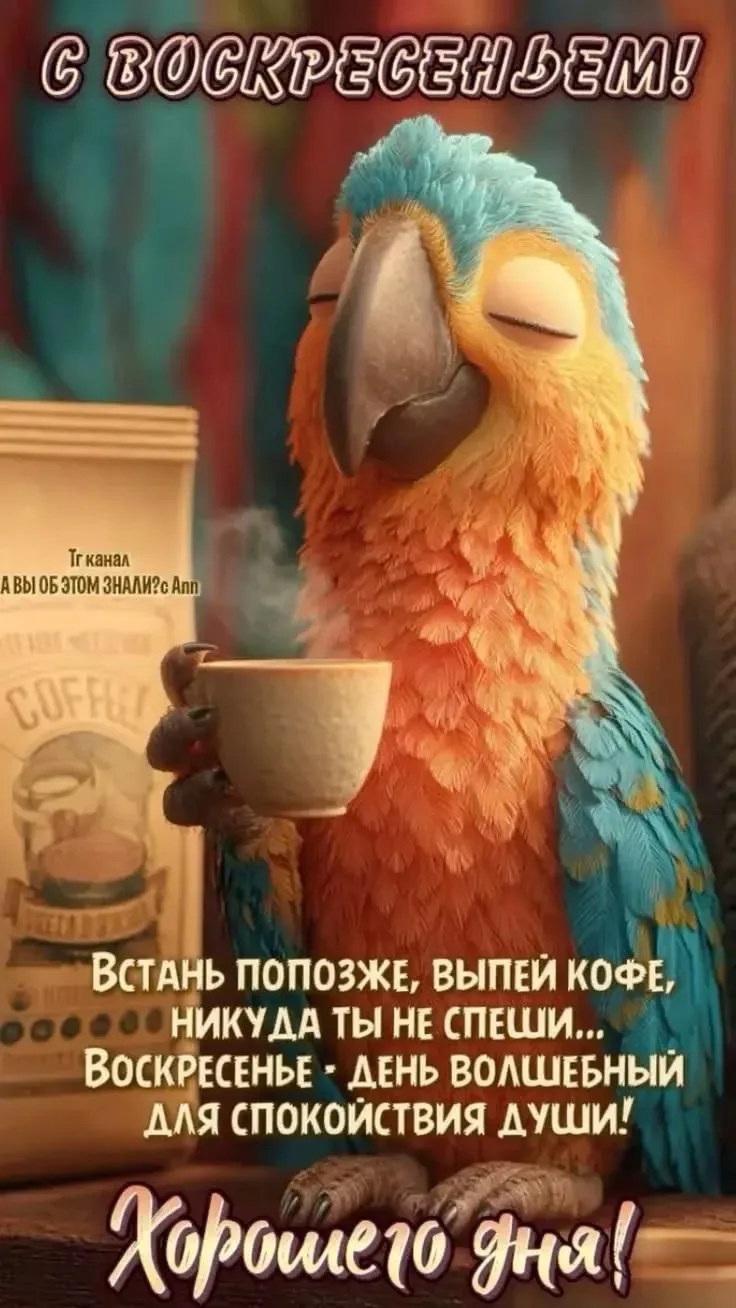 Доброе утро, наши любимки!❤️