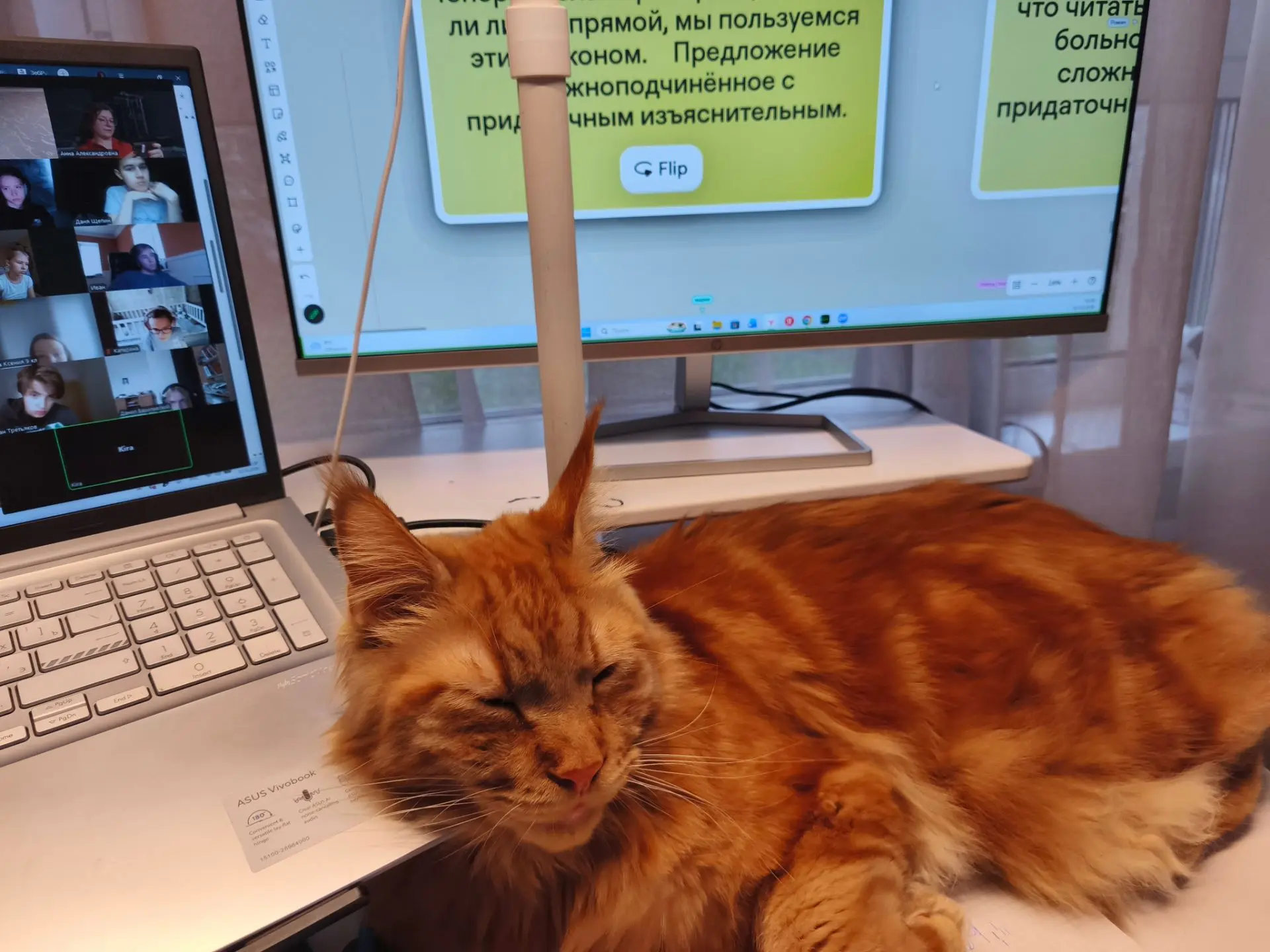 Субботние группы проведены под неусыпным контролем ассистента Рыжика.