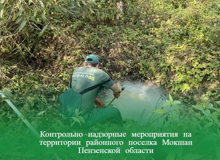 ЦЛАТИ по Пензенской области принял участие в контрольно-надзорном мероприятии на террит...