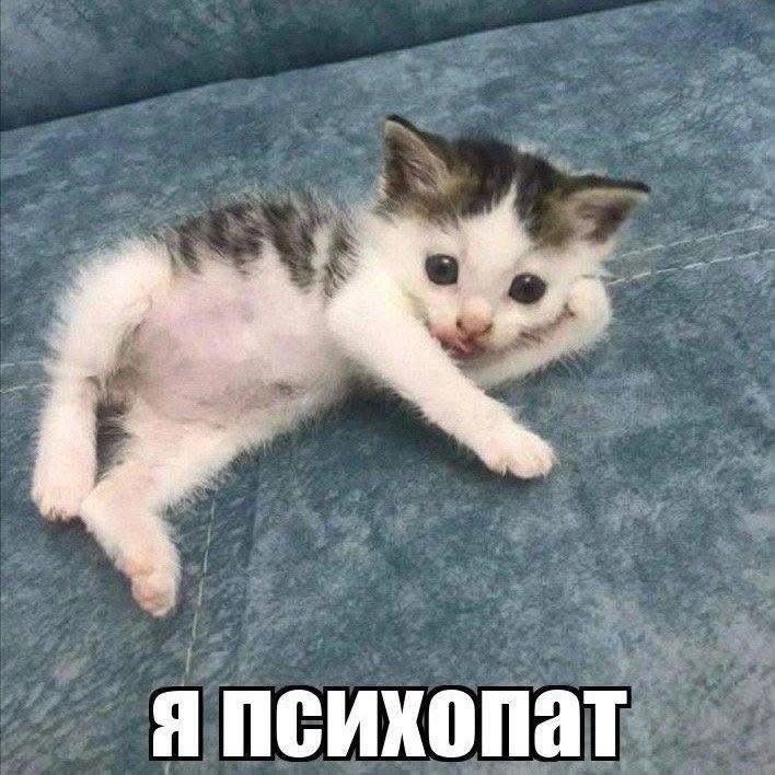 Сегодня отмечают международный день психического здоровья