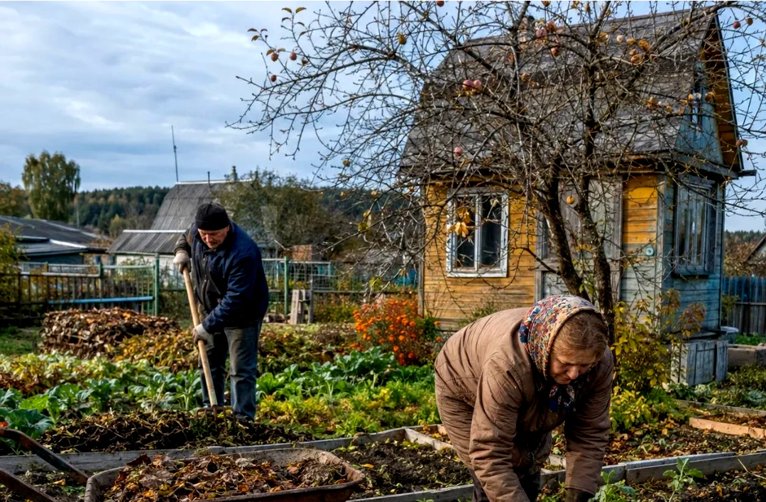 ЧТО ДЕЛАЛИ В ОГОРОДЕ - В СЕРЕДИНЕ ОКТЯБРЯ