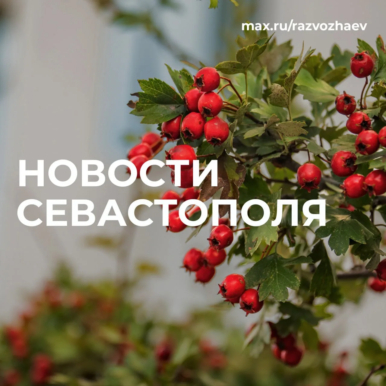 Кратко о главном: