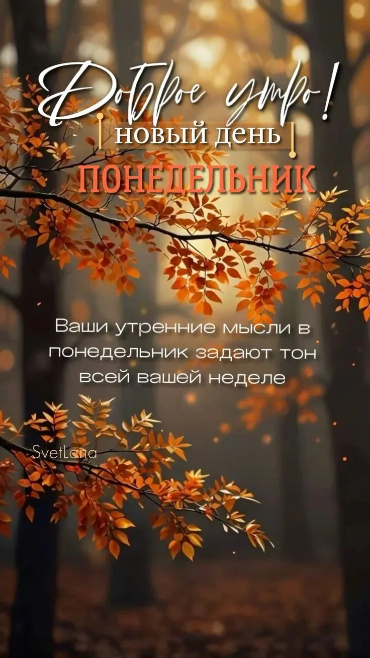Доброе утро!❤