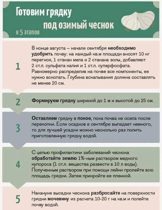 Грядка под озимый чеснок